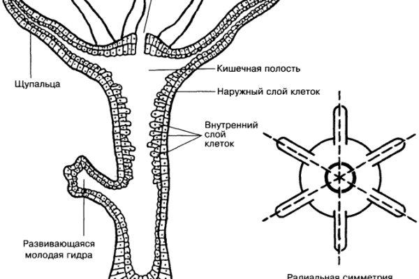 Пользователь не найден кракен даркнет