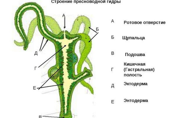 Kraken darknet зеркала кракен обход