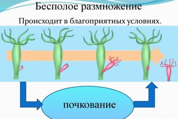 Кракен даркнет купить